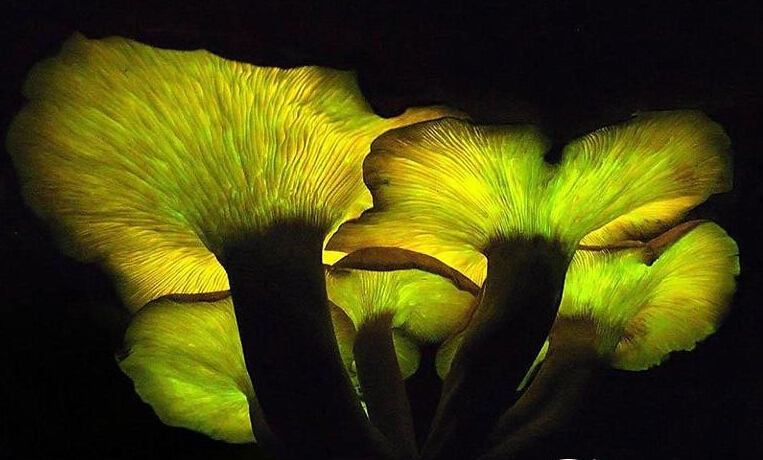 圖片關(guān)鍵詞 圖片關(guān)鍵詞