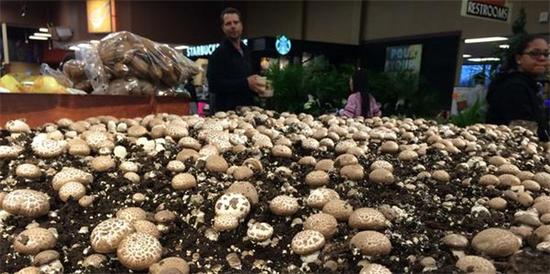 圖片關(guān)鍵詞 圖片關(guān)鍵詞