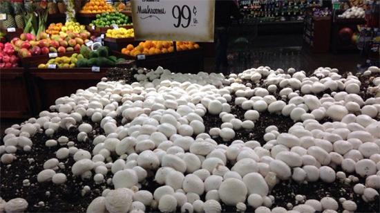 圖片關(guān)鍵詞 圖片關(guān)鍵詞