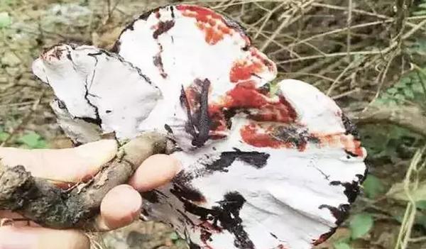 圖片關(guān)鍵詞 圖片關(guān)鍵詞