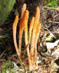 圖片關(guān)鍵詞 圖片關(guān)鍵詞