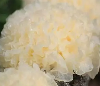 圖片關鍵詞 圖片關鍵詞