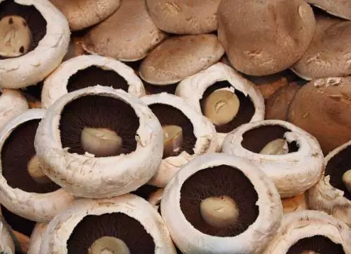 圖片關(guān)鍵詞 http://m.ktvit.com/ewebeditor/uploadfile/20170914091257506001.png