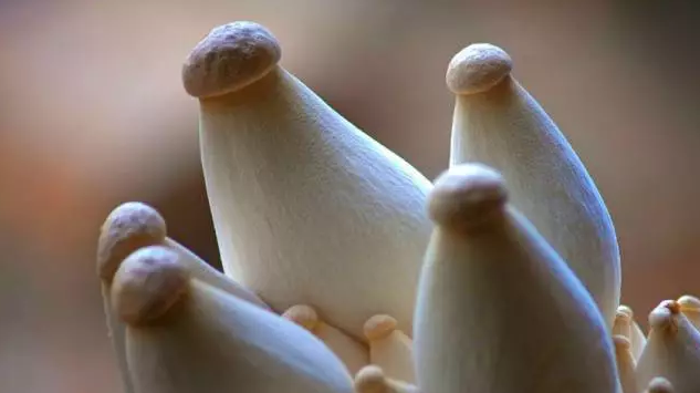 圖片關(guān)鍵詞 http://m.ktvit.com/ewebeditor/uploadfile/20170914091357269001.png