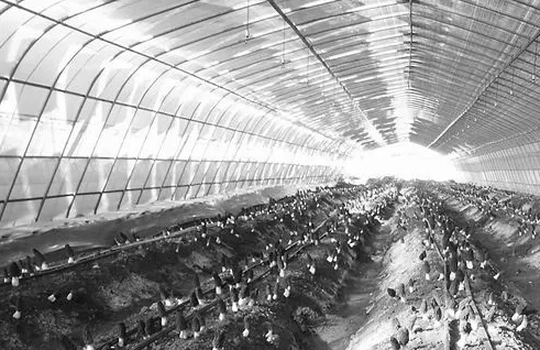 圖片關(guān)鍵詞 圖片關(guān)鍵詞