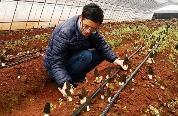 圖片關(guān)鍵詞 圖片關(guān)鍵詞