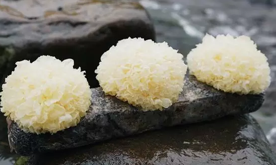 圖片關(guān)鍵詞 http://m.ktvit.com/ewebeditor/uploadfile/20180328092751720001.png