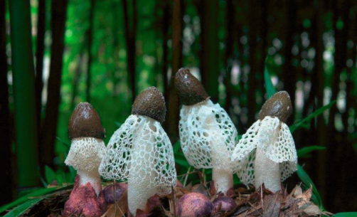 圖片關(guān)鍵詞 http://m.ktvit.com/ewebeditor/uploadfile/20180828110329835001.png