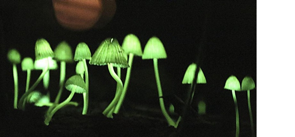 圖片關鍵詞 圖片關鍵詞