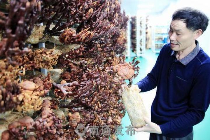 圖片關鍵詞 圖片關鍵詞