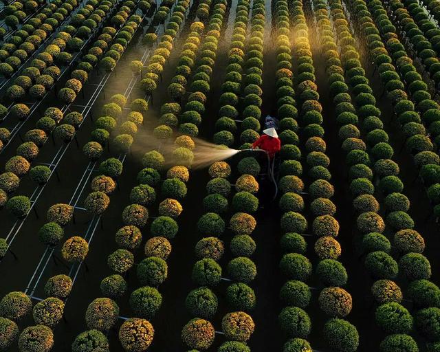 國家蘑菇地理：中國哪里的蘑菇最好吃？