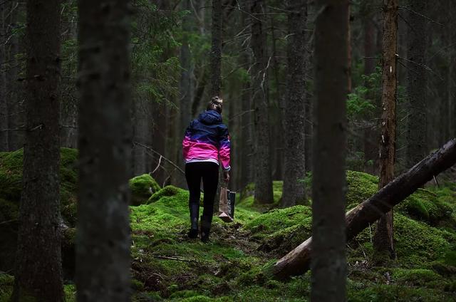 國家蘑菇地理：中國哪里的蘑菇最好吃？