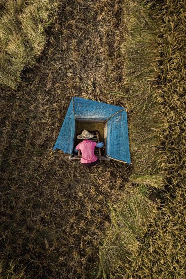 國家蘑菇地理：中國哪里的蘑菇最好吃？