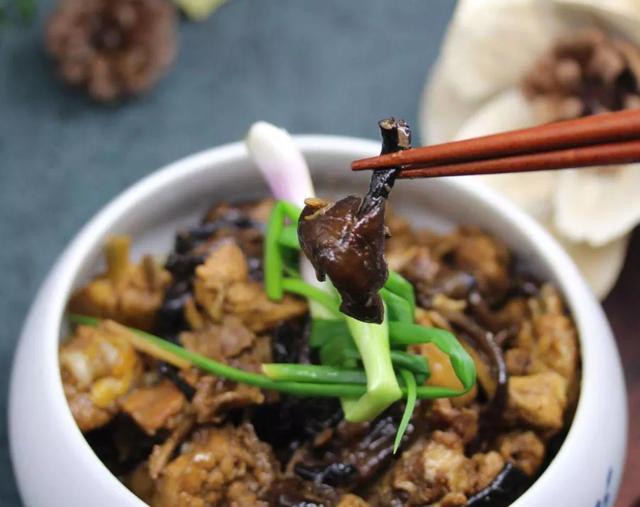 國家蘑菇地理：中國哪里的蘑菇最好吃？