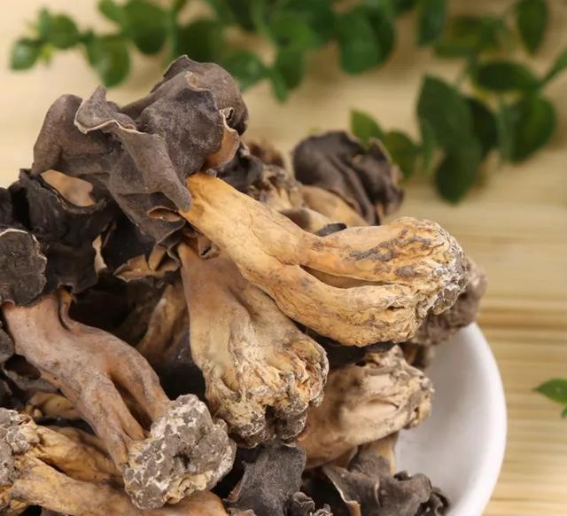 國家蘑菇地理：中國哪里的蘑菇最好吃？