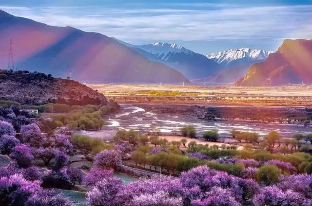 國家蘑菇地理：中國哪里的蘑菇最好吃？