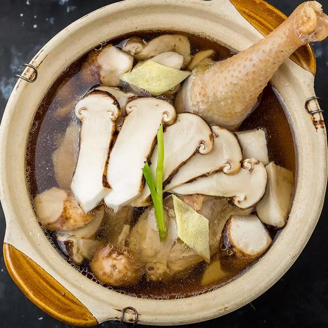 國家蘑菇地理：中國哪里的蘑菇最好吃？