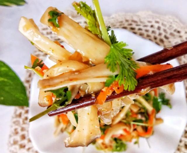 國家蘑菇地理：中國哪里的蘑菇最好吃？