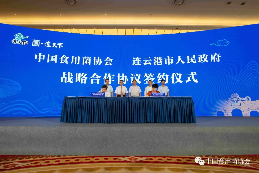 圖片關鍵詞 https://mmbiz.qpic.cn/mmbiz_jpg/qmUUOFzKOyRYEBXKnSHMvP5v7LsM30EklweGoVLSGRsibM28flEHdHmhDNqpUwZWaRib3UD2hh7R4OQtiacPRtYsg/640?wx_fmt=jpeg