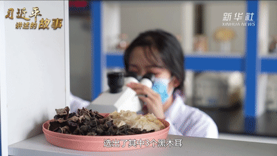 圖片關鍵詞 https://mmbiz.qpic.cn/mmbiz_gif/SxfSv2XOxf7F6h9Fnpicibhibo2FtzRrSNm7Okn9PZh7tRCpG6qak2K0ntb5j7sWl0Dyw9tatptFgATu7LV1BBiakw/640?wx_fmt=gif&tp=webp&wxfrom=5&wx_lazy=1