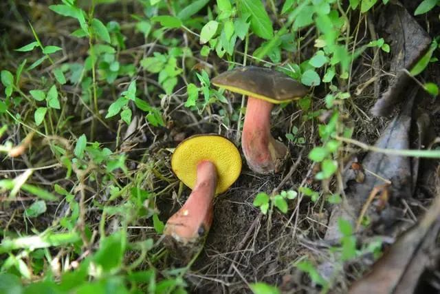 圖片關鍵詞 圖片