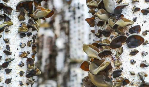 圖片關鍵詞 圖片