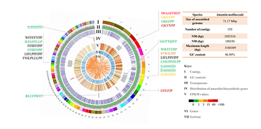 圖片關(guān)鍵詞 圖片關(guān)鍵詞