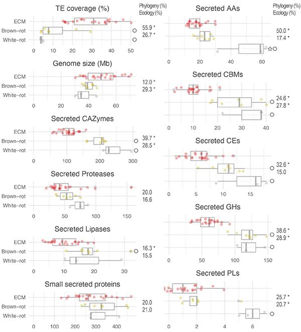 圖片關鍵詞 圖片