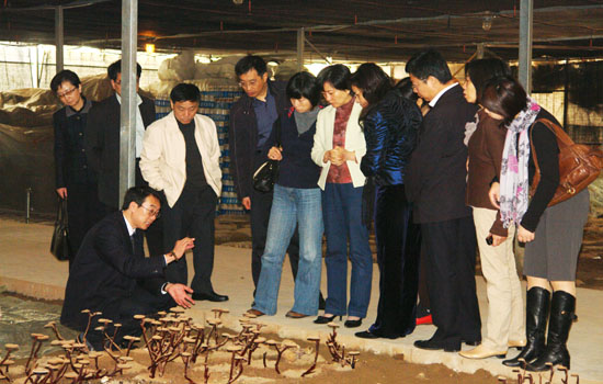 圖片關(guān)鍵詞 圖片關(guān)鍵詞