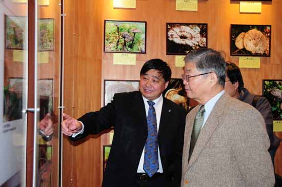 圖片關(guān)鍵詞 圖片關(guān)鍵詞