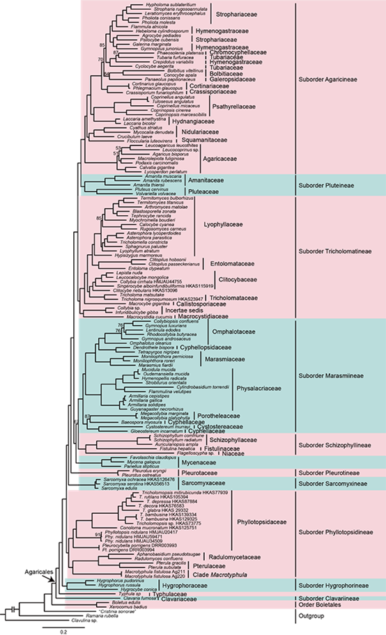 圖片關鍵詞 圖片關鍵詞
