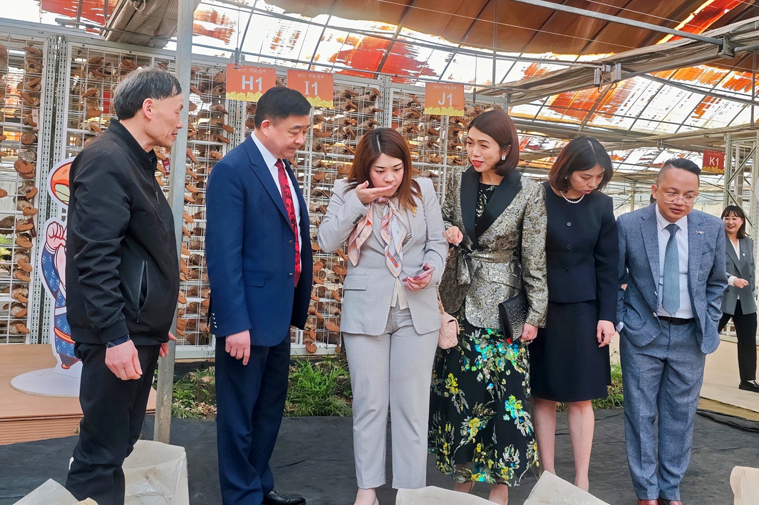 圖片關鍵詞 圖片關鍵詞