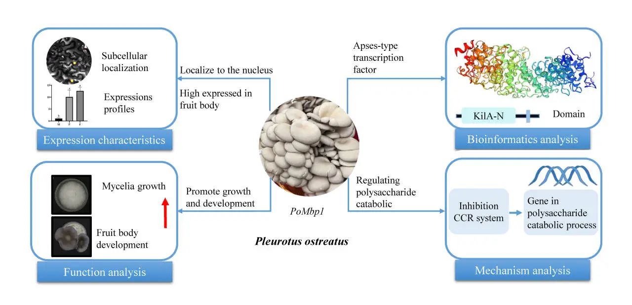 圖片關鍵詞 圖片關鍵詞