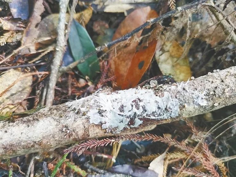 圖片關(guān)鍵詞