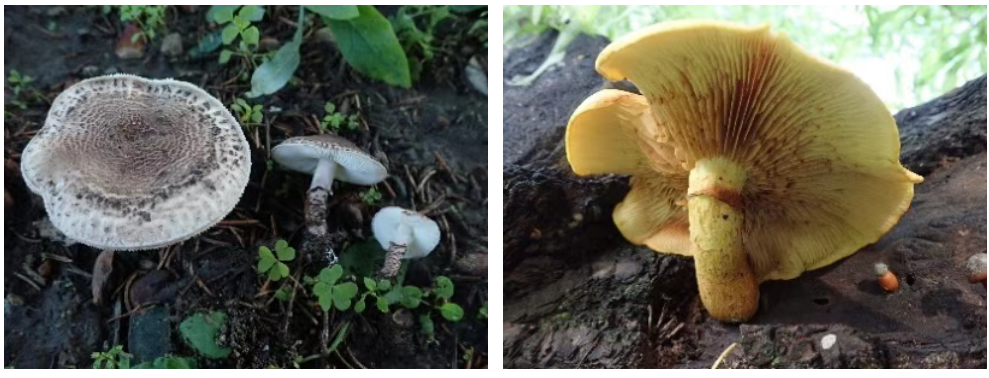 圖片關鍵詞 圖片關鍵詞