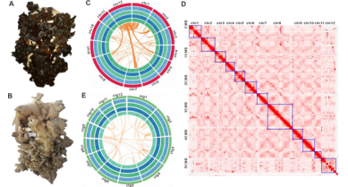 行業(yè)動(dòng)態(tài)