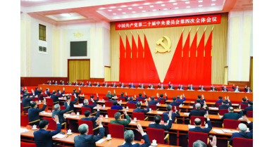 行業(yè)動態(tài)