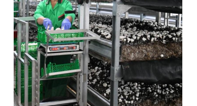 行業(yè)動(dòng)態(tài)